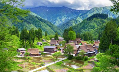 乡村振兴封面2.jpg