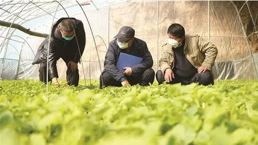 屏幕截图 2023-05-18 151624.png